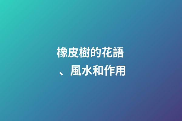 橡皮樹的花語、風水和作用